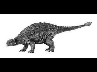Amtosaurus