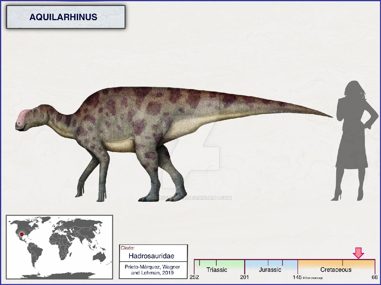Aquilarhinus, Cretaceous
(Меловой период)