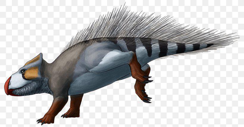 Asiaceratops