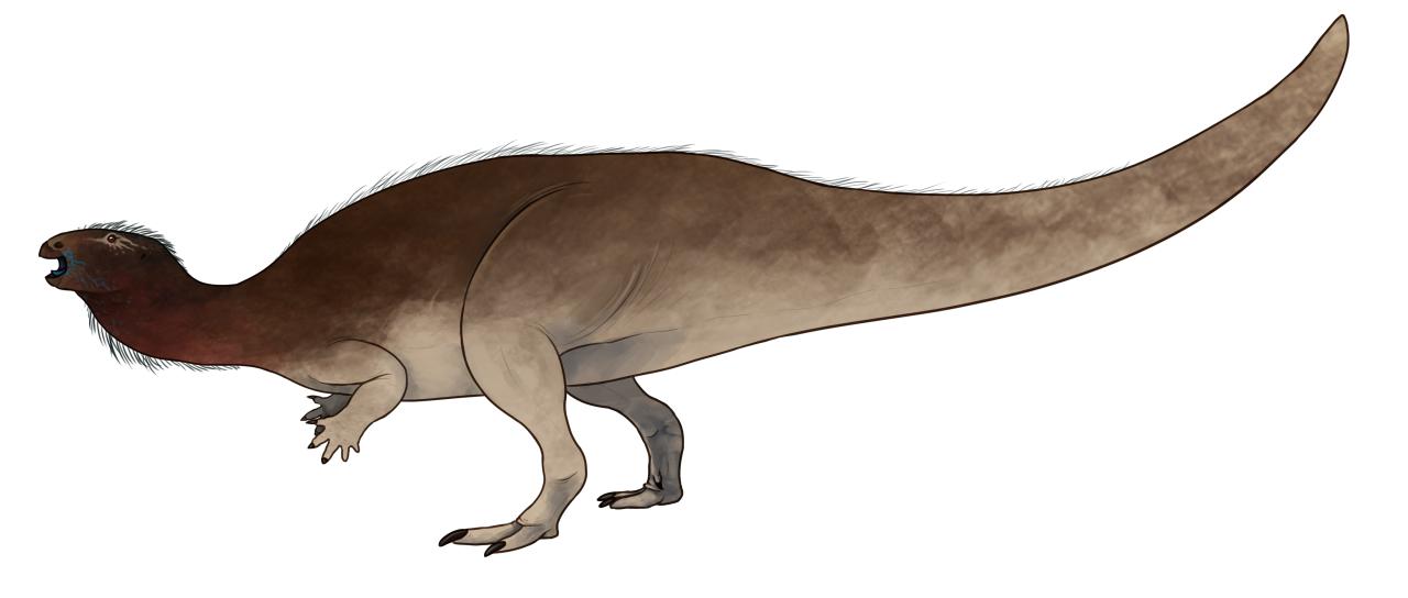 Bihariosaurus
(Бихориозавр), Cretaceous
(Меловой период)