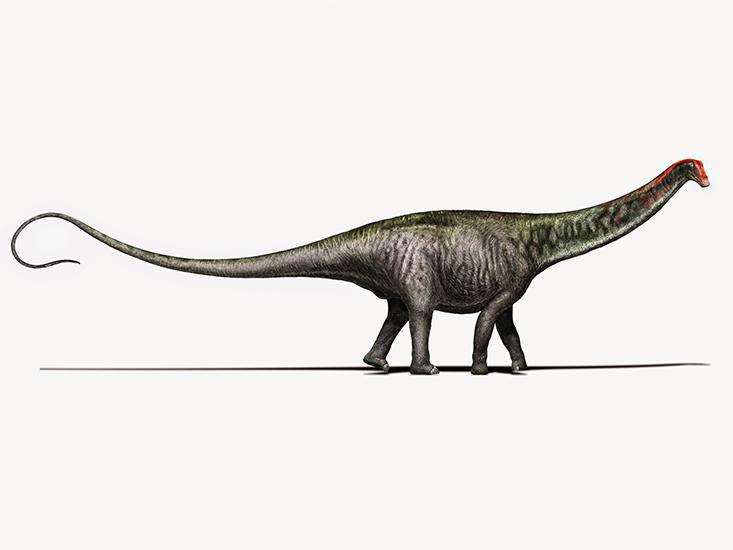 Brontosaurus
(Бронтозавр), Jurassic
(Юрский период)
