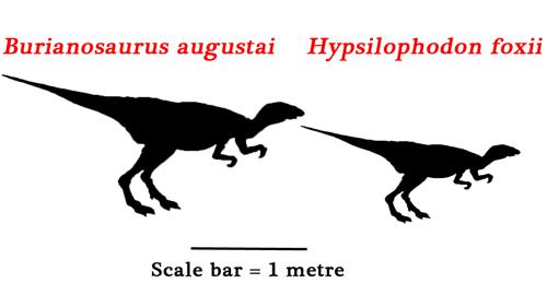 Burianosaurus