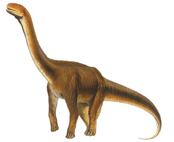 Campylodoniscus, Cretaceous
(Меловой период)