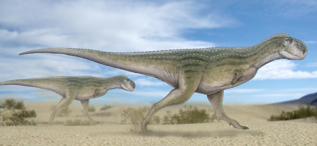 Chenanisaurus
