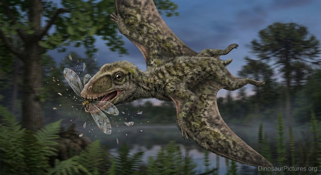Dendrorhynchus