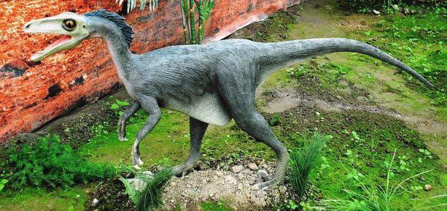 Dracoraptor