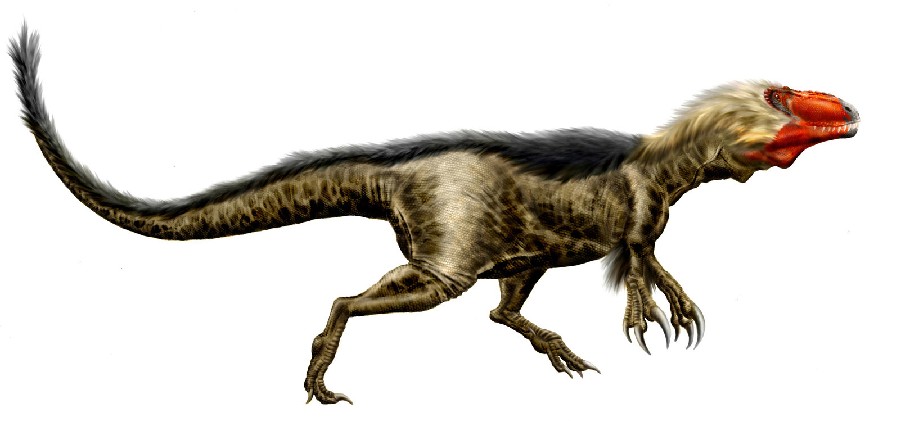 Dryptosaurus Pictures & Facts - The Dinosaur Database