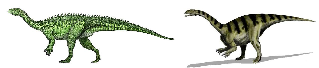 Eucnemesaurus