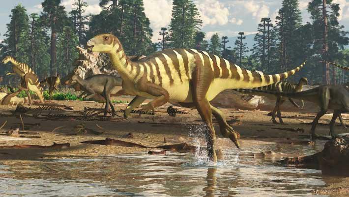 Galleonosaurus, Early Cretaceous
(Нижний мел)