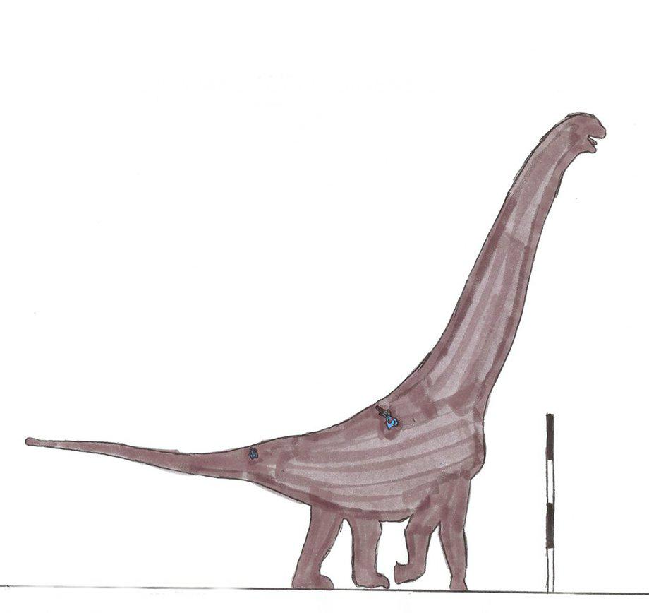 Gannansaurus