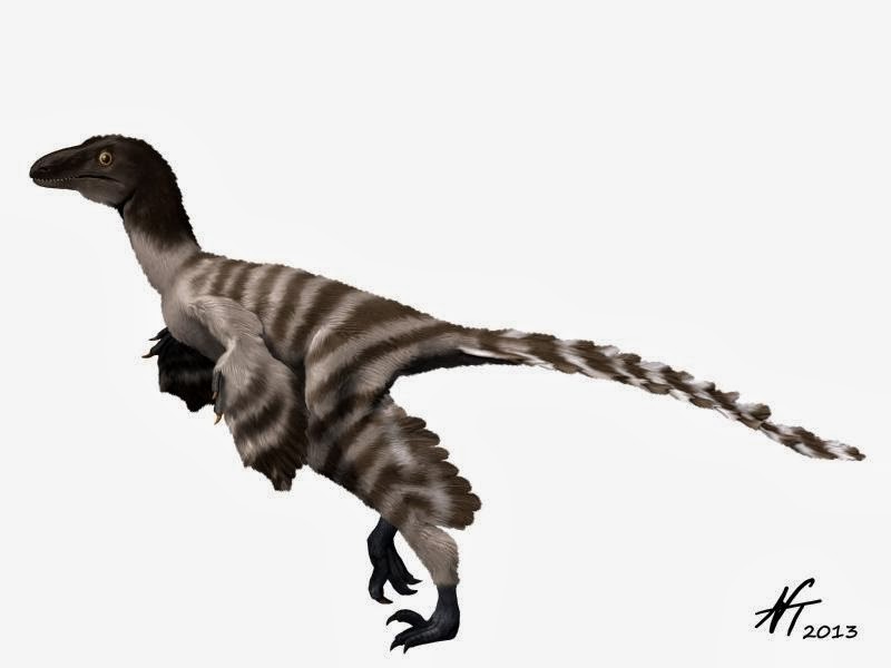 Geminiraptor_NT_3243.jpg