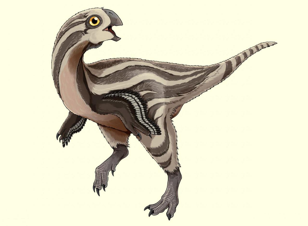 Gobiraptor, Cretaceous
(Меловой период)