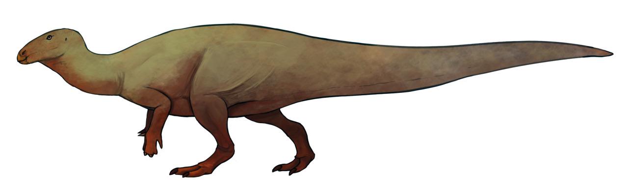 Gongpoquansaurus