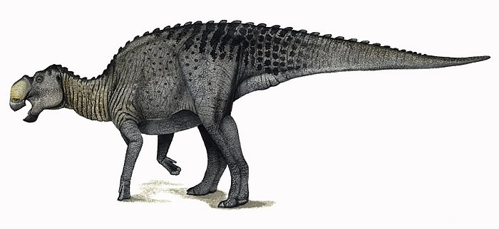 Gryposaurus-Andrey-Atuchin_886b.jpg
