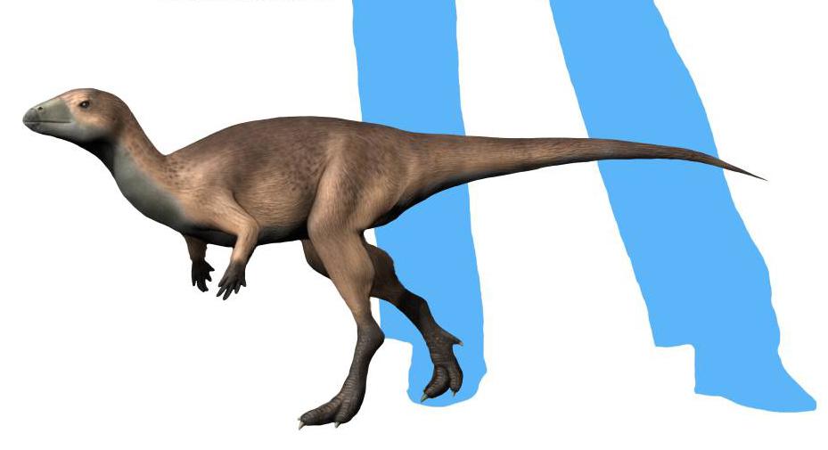 Haya
(Хайя), Cretaceous
(Меловой период)