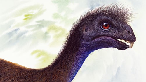 Incisivosaurus Pictures & Facts - The Dinosaur Database