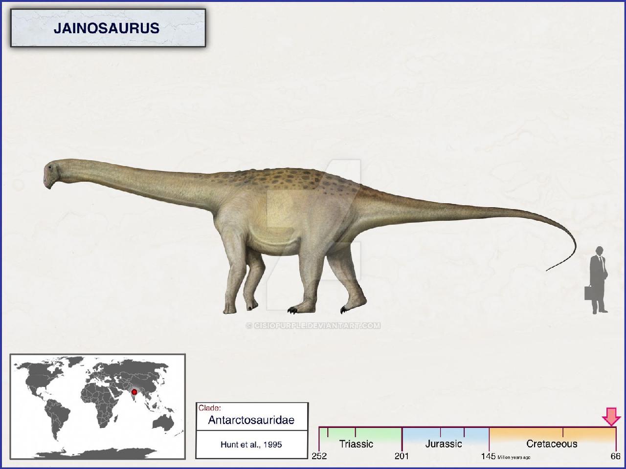 Jainosaurus, Late Cretaceous
(Верхний мел)
