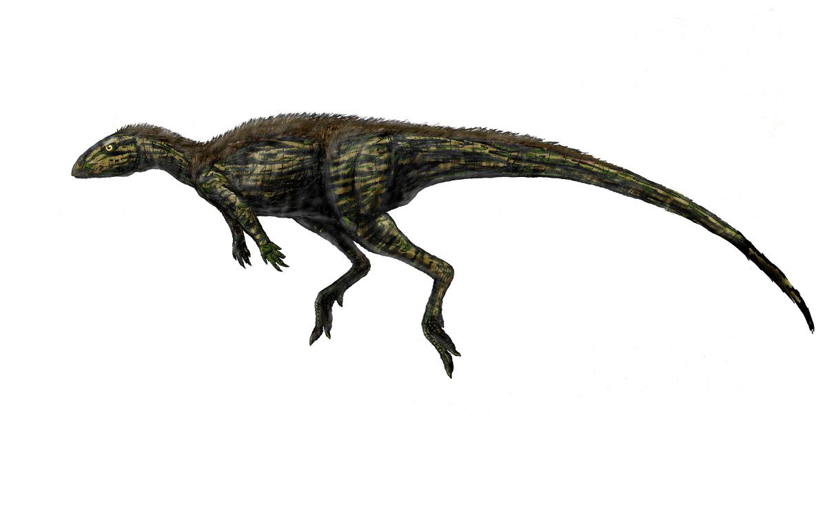 Kangnasaurus