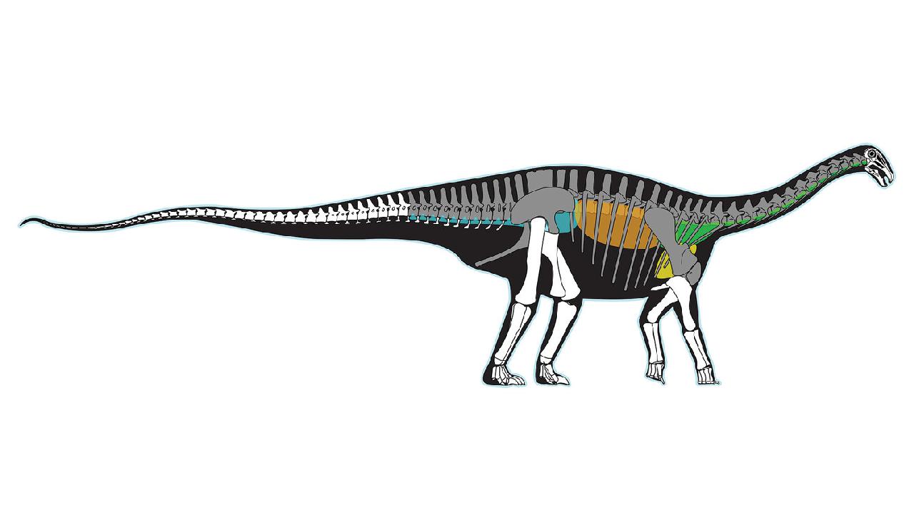 Katepensaurus