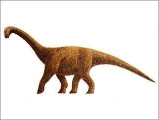 Khetranisaurus