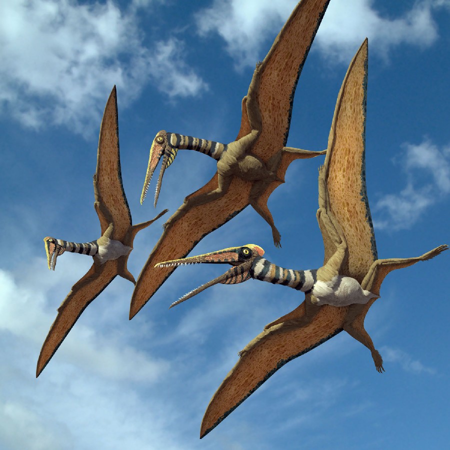 Летающие Динозавры Картинки С Названиями — Картинки фотографии