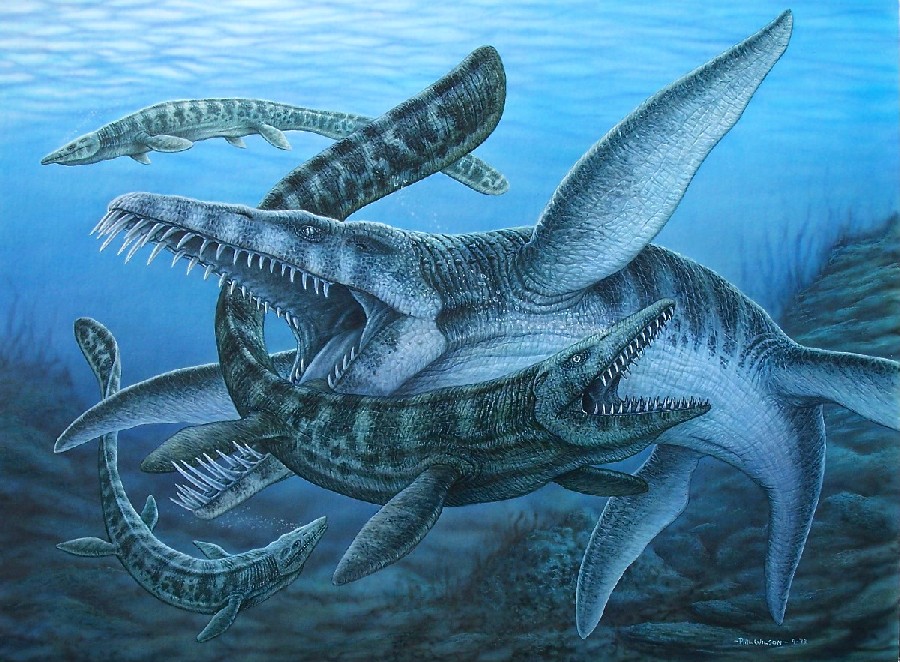 Image result for Liopleurodon