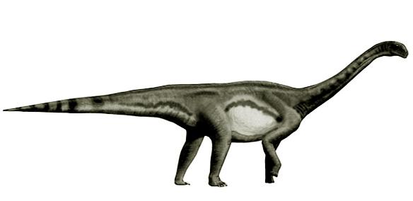 Macrurosaurus