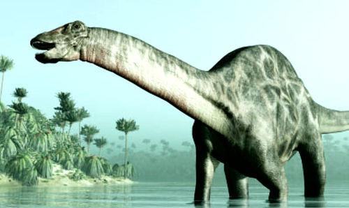 Marisaurus, Cretaceous
(Меловой период)