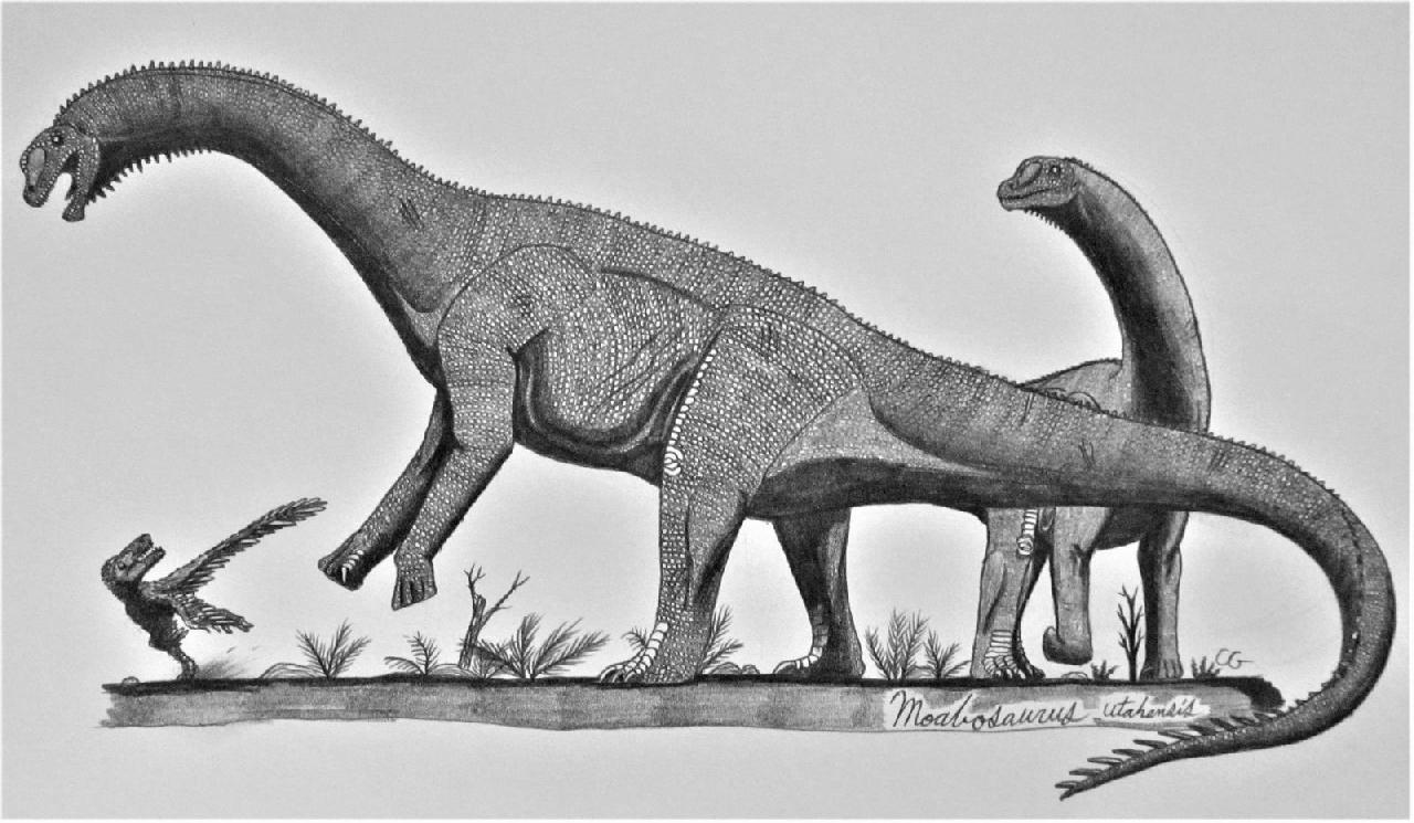 Moabosaurus