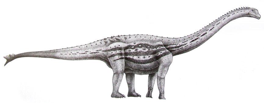 Nebulasaurus