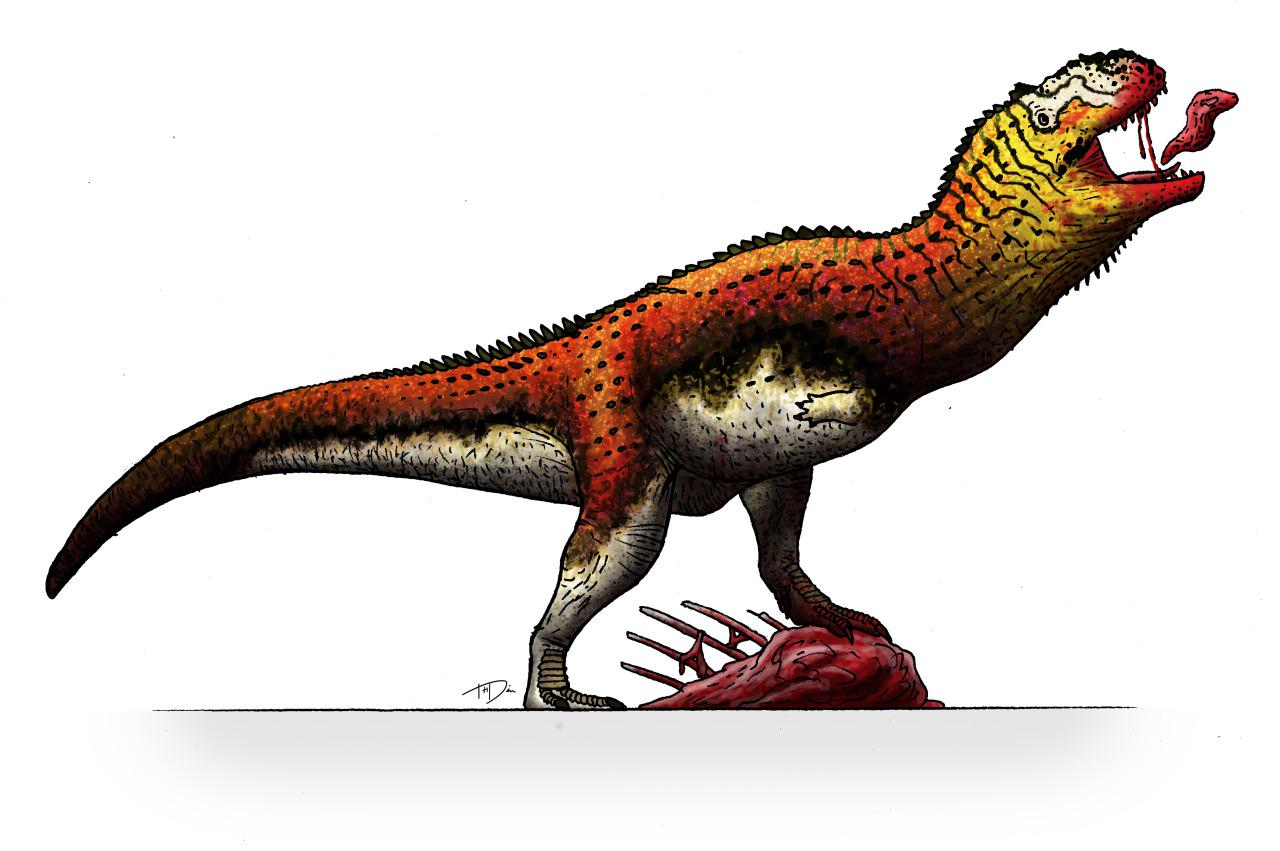 Orthogoniosaurus, Late Cretaceous
(Верхний мел)