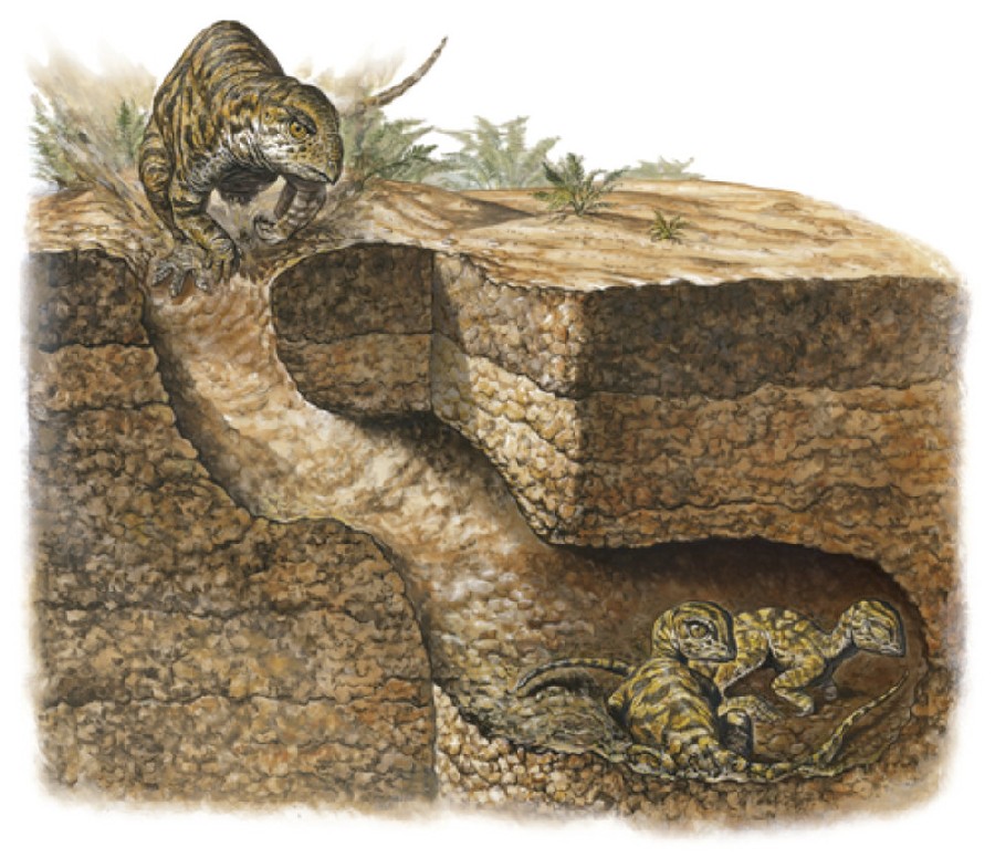 Dinosaur Images Facts The Online Database