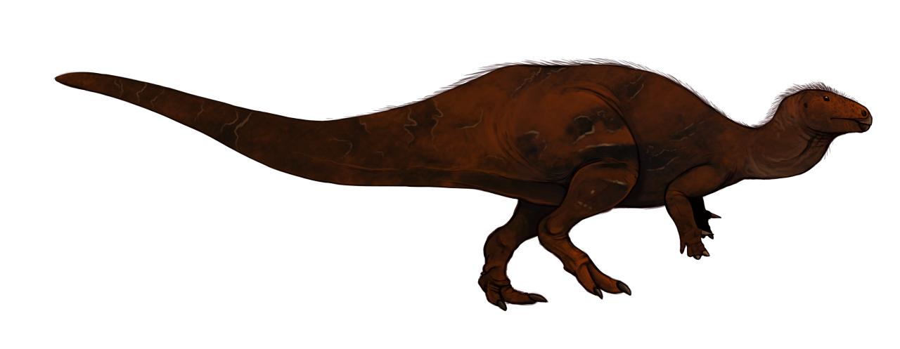 Osmakasaurus, Cretaceous
(Меловой период)