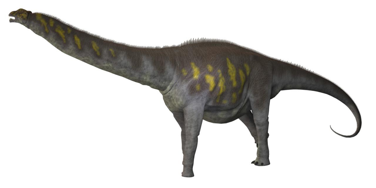Pakisaurus Pictures Facts The Dinosaur Database Pakisaurus Pictures Facts The Dinosaur Database