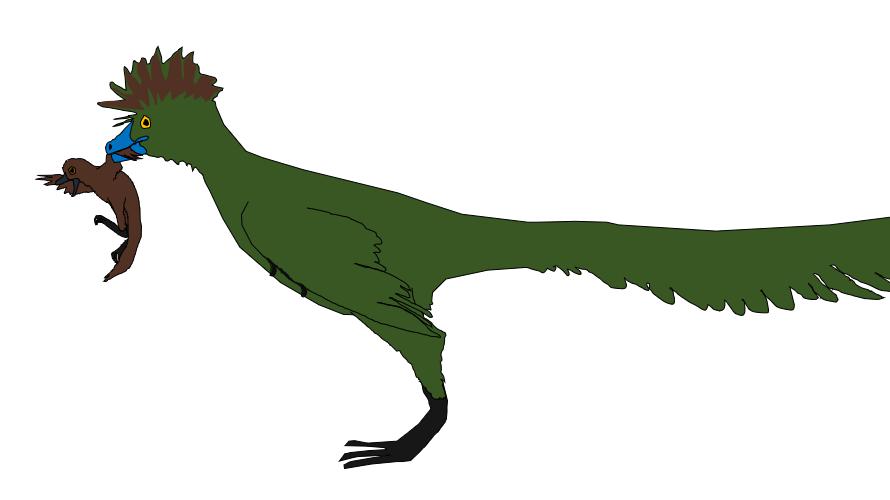 Palaeopteryx