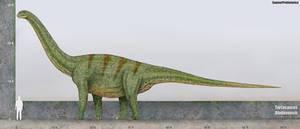 Pellegrinisaurus