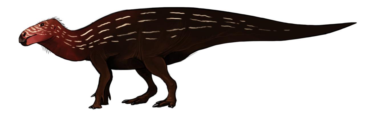 Penelopognathus, Cretaceous
(Меловой период)