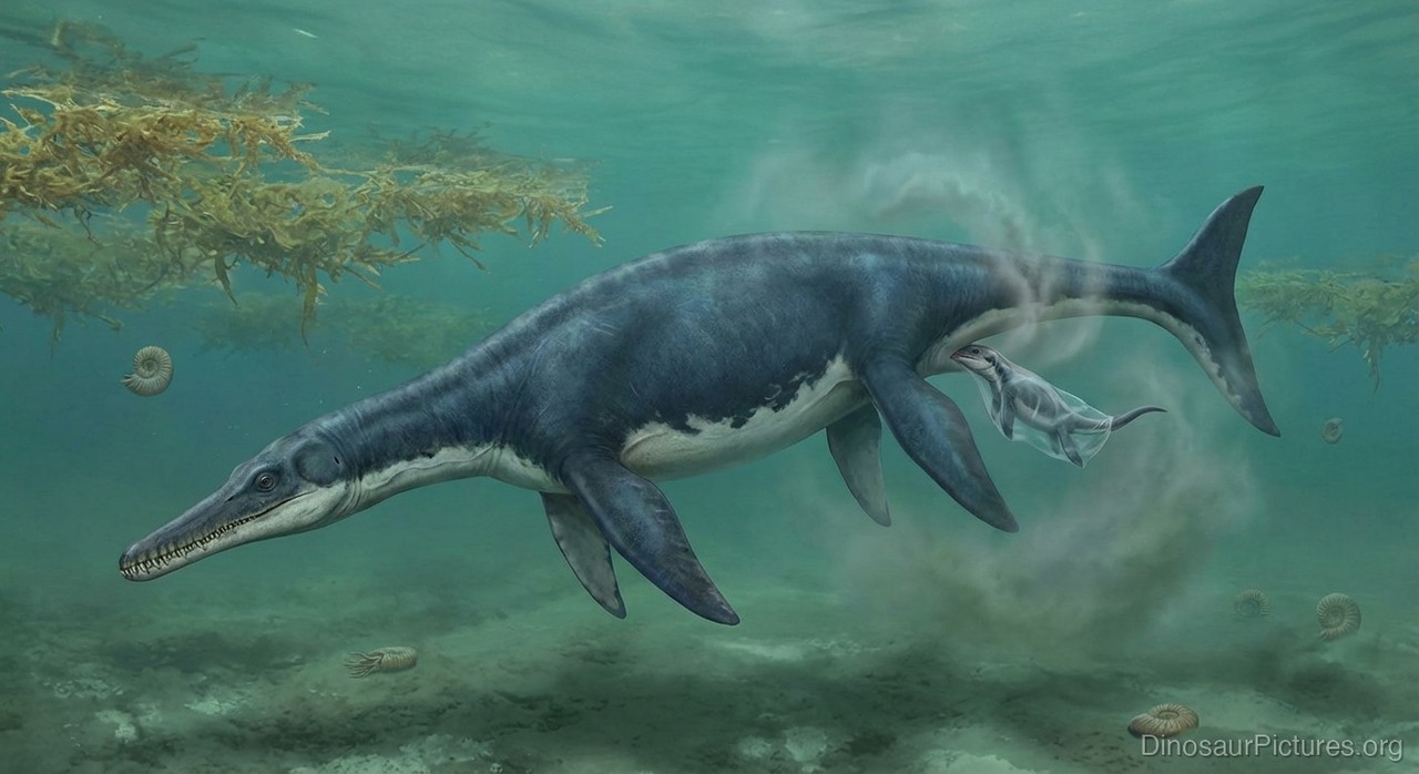 Piratosaurus