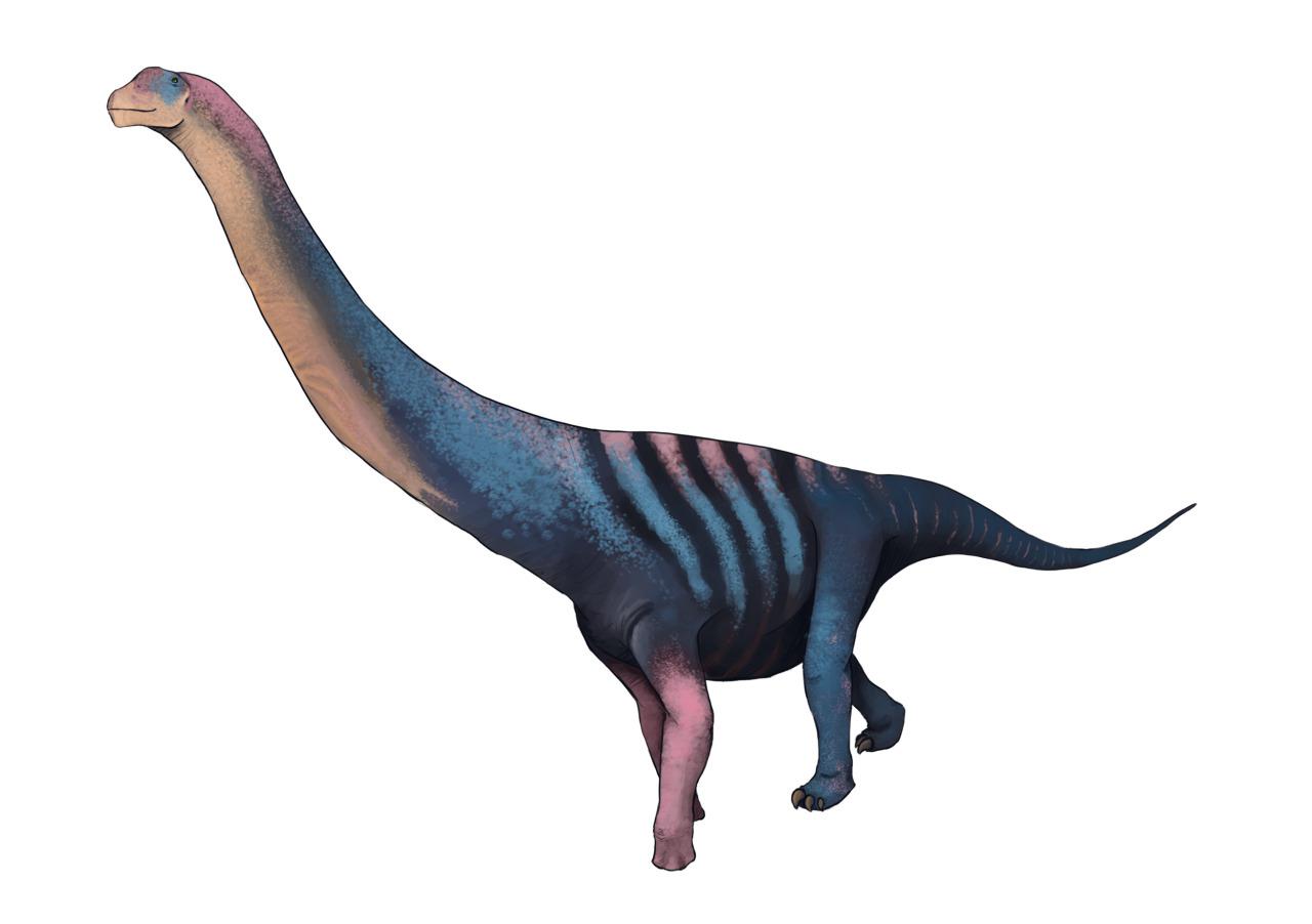 Protognathosaurus, Jurassic
(Юрский период)