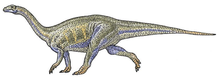 Image result for Riojasaurus