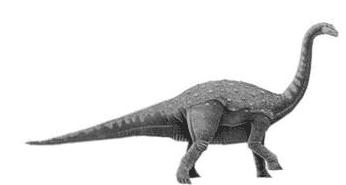 Rocasaurus