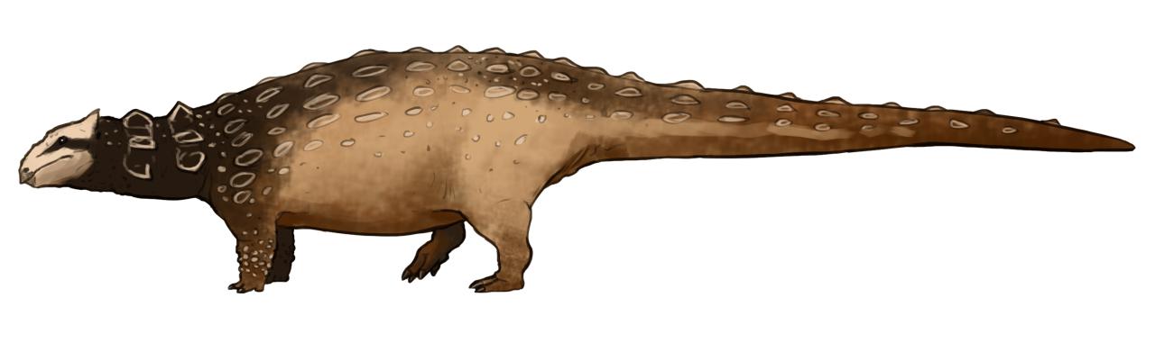 Sangonghesaurus