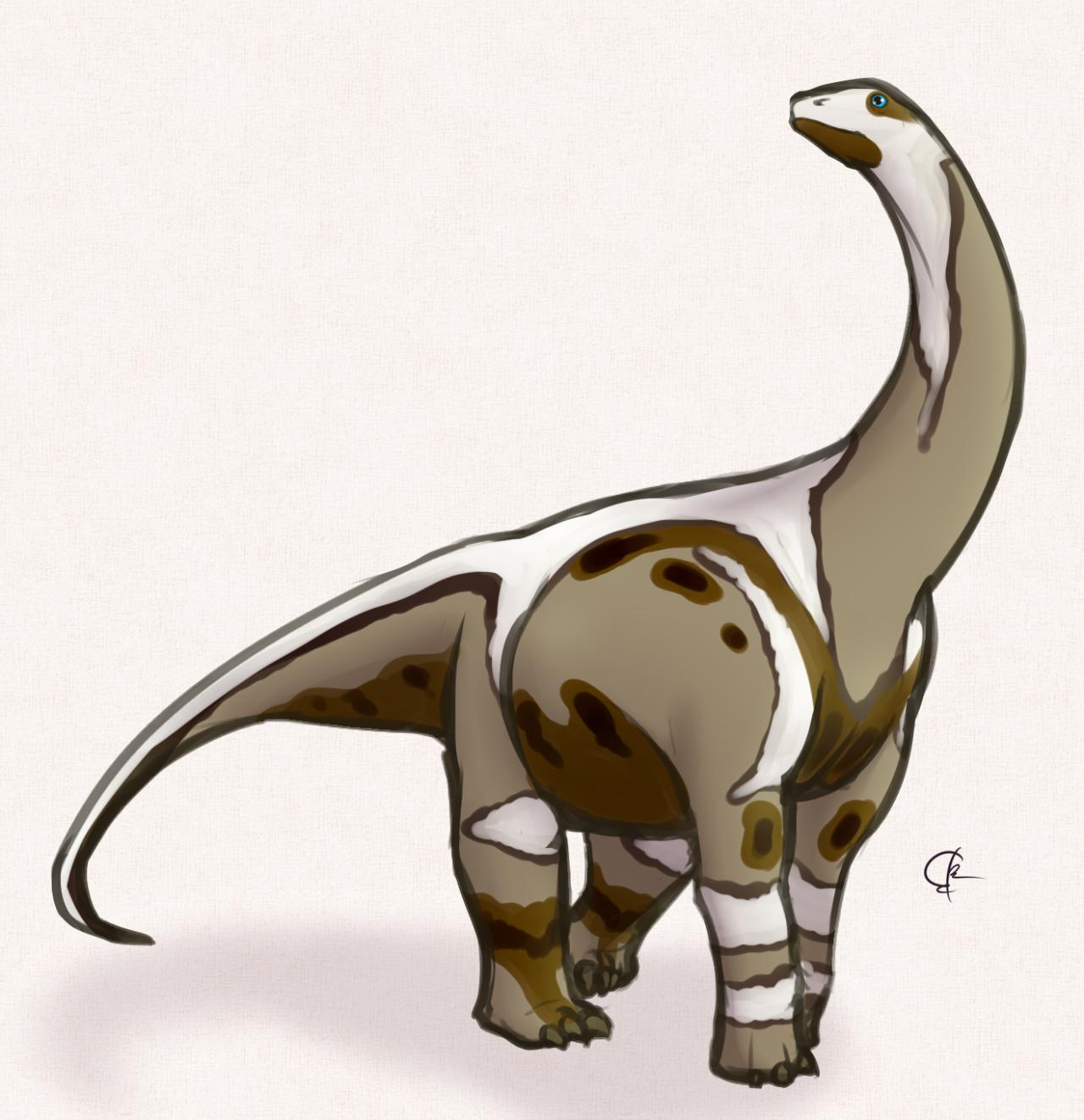 Sanpasaurus, Jurassic
(Юрский период)