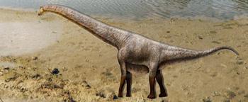 Sarmientosaurus