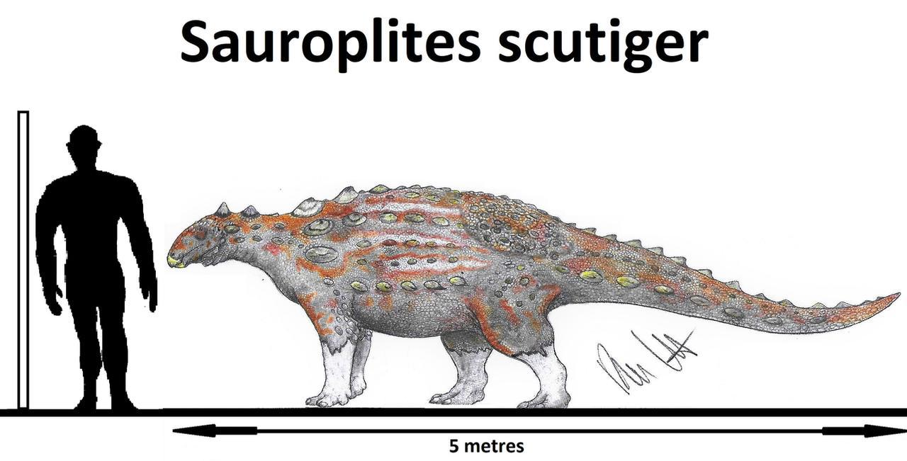 Sauroplites