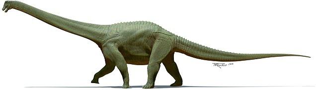 Savannasaurus
