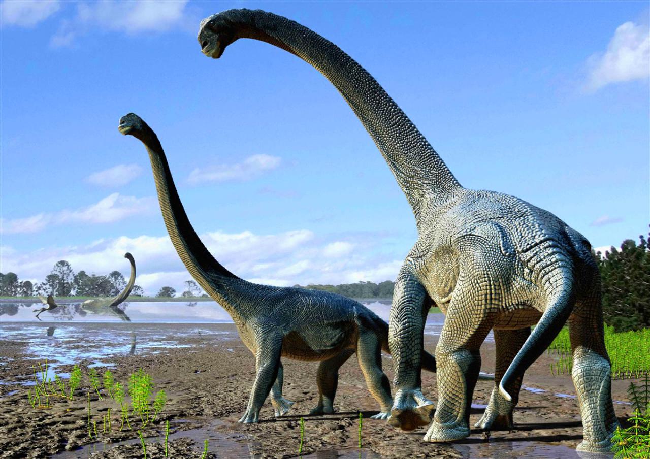 Savannasaurus
