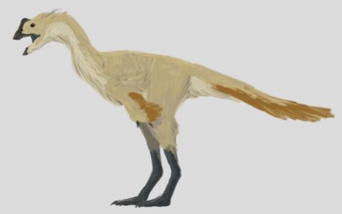 Shanyangosaurus
