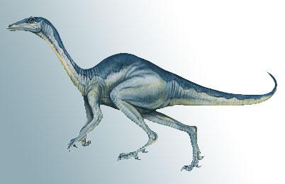 Stenonychosaurus
