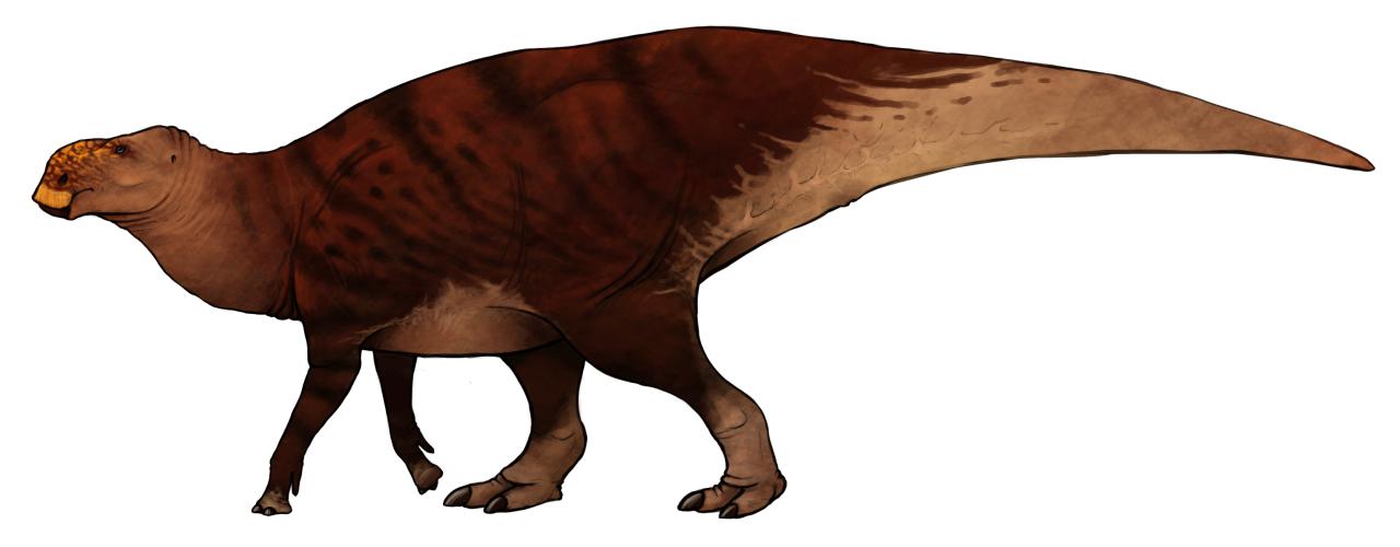 Stephanosaurus